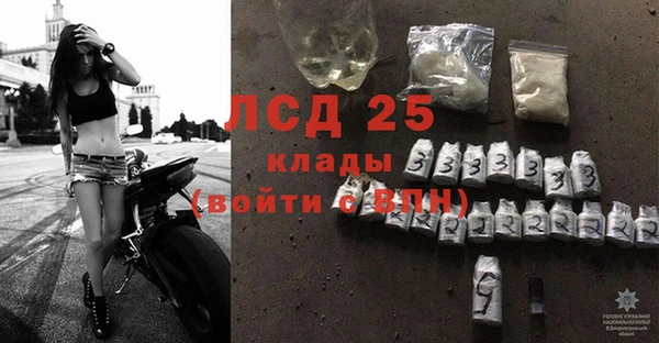 стаф Медвежьегорск