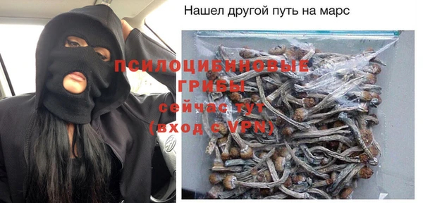 стаф Медвежьегорск