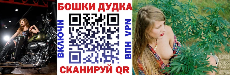 Конопля MAZAR  как найти закладки  Новая Усмань 